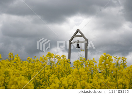 Rape flower field covered with clouds Rape flower field covered with clouds 115485355