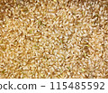 Brown rice - all over the screen 115485592