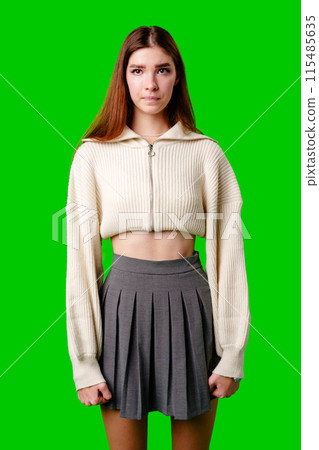 Woman in Skirt and Sweater Posing for Picture Woman in Skirt and Sweater Posing for Picture 115485635