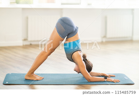 Sportive girl practicing downward dog pose of yoga in light room 115485759