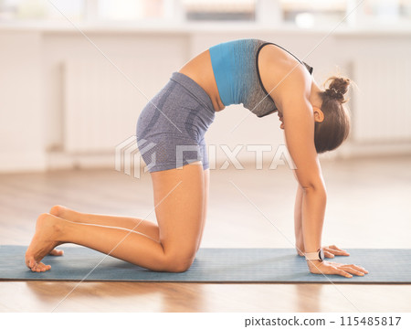 Sportive girl practicing cat-cow pose of yoga in light room Sportive girl practicing cat-cow pose of yoga in light room 115485817