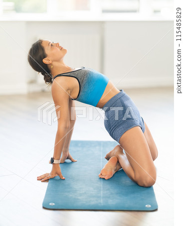 Young woman practicing yoga asanas in studio Young woman practicing yoga asanas in studio 115485829