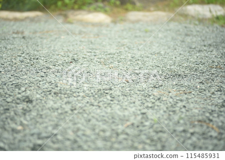 Bluestone gravel floor and stepping stones in the background 115485931