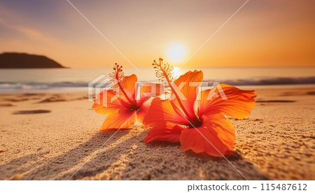 美麗的夏日日落海灘和芙蓉花（AI生成素材） 115487612
