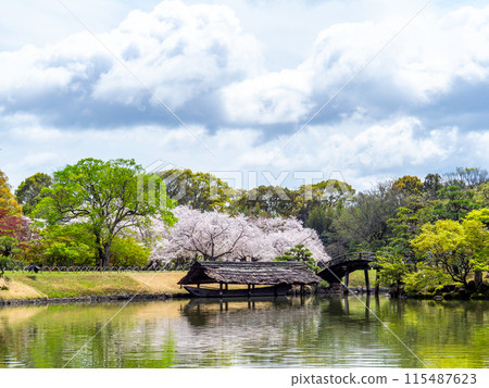 春天的岡山，後樂園、澤之池、船屋的優雅景色 115487623