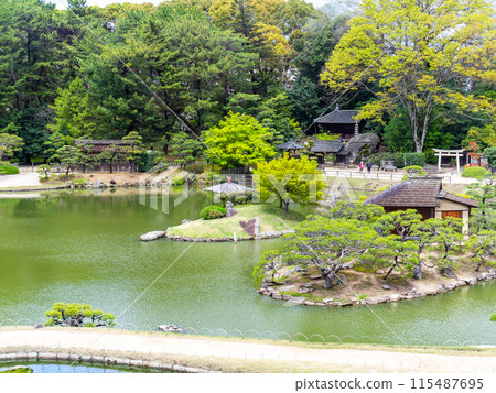 Spring in Okayama: The quaint scenery of Korakuen Garden, seen from Mt. Yuishin 115487695