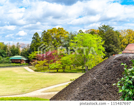 春天的岡山,從由神山眺望後樂園的大氣風光 春天的岡山,從由神山眺望後樂園的大氣風光 115487697