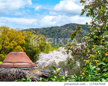 春天的岡山,從由神山眺望後樂園的大氣風光 春天的岡山,從由神山眺望後樂園的大氣風光 115487698
