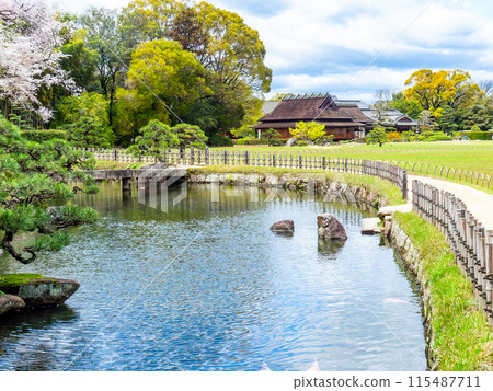 春天的岡山，隔著池塘眺望後樂園、延養亭的優雅景色 115487711