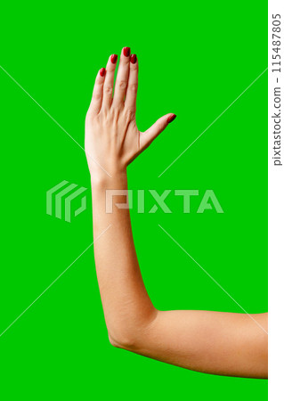 Womans Arm Hand Sign Raised in the Air 115487805