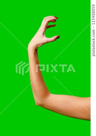 Womans Arm Hand Sign Raised in the Air 115488059