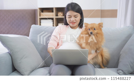 A portrait of happy Asian pregnant woman with domestic dog pet animal in bedroom at home. Having a baby. Family people lifestyle. Mom love. A portrait of happy Asian pregnant woman with domestic dog pet animal in bedroom at home. Having a baby. Family people lifestyle. Mom love. 115488227