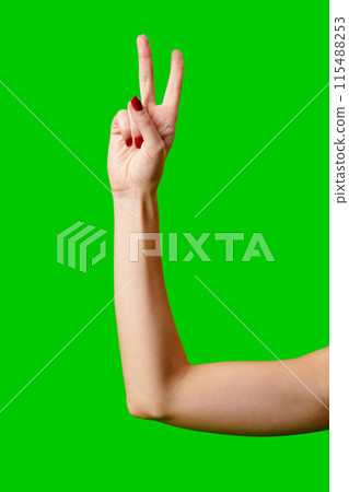 Womans Arm Hand Sign Raised in the Air 115488253