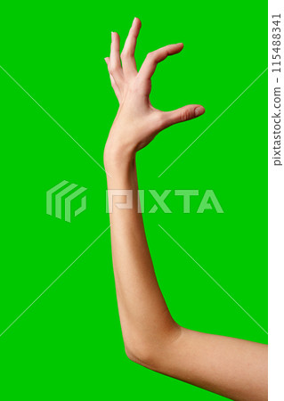 A womans hand extends upward into the air, fingers outstretched, reaching upward towards an unseen destination. A womans hand extends upward into the air, fingers outstretched, reaching upward towards an unseen destination. 115488341
