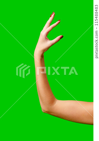 Womans Arm Hand Sign Raised in the Air Womans Arm Hand Sign Raised in the Air 115488483