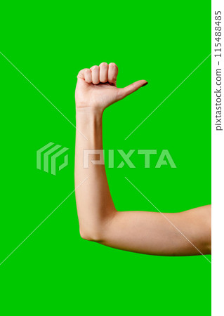 Womans Arm Hand Sign Raised in the Air 115488485