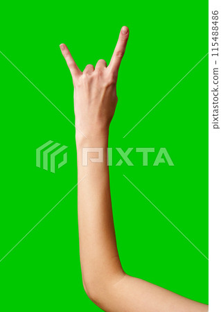 Person Making Peace Sign Gesture Person Making Peace Sign Gesture 115488486