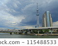 天空樹 115488533