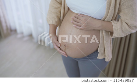 Close up of a Portrait of happy pregnant woman in bedroom at home. Having a baby. Family people lifestyle. Mom love. 115489087