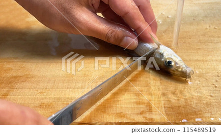 用刀切割剛捕獲的鱈魚 115489519