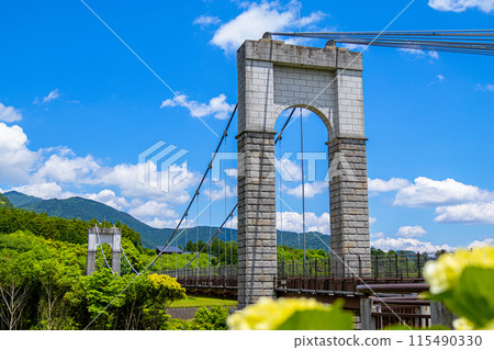[十川公園]風吊橋（神奈川縣秦野市） 115490330