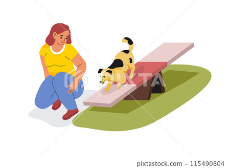 Woman Training Dog On Agility Seesaw Woman Training Dog On Agility Seesaw 115490804