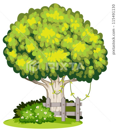 Lush Tree with Wooden Fence Lush Tree with Wooden Fence 115491130