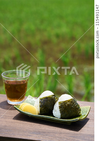 Rice balls with rice paddies in the background 115491147