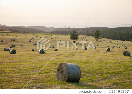 草捲地球 115491397