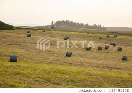 Land of grass rolls Land of grass rolls 115491398