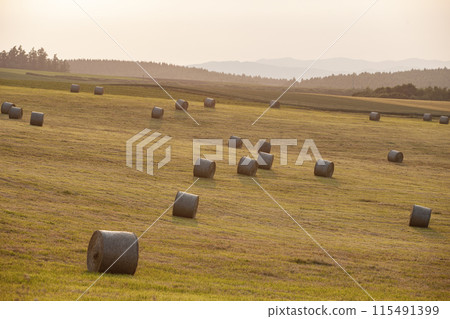 草捲地球 115491399