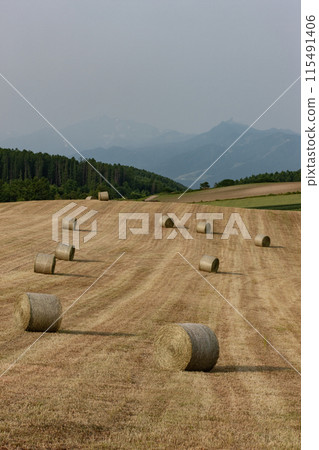 Land of grass rolls Land of grass rolls 115491406