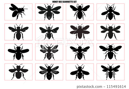 Honey Bee Hand drawing silhouette set, Illustration of Bee Silhouette Art set Honey Bee Hand drawing silhouette set, Illustration of Bee Silhouette Art set 115491614