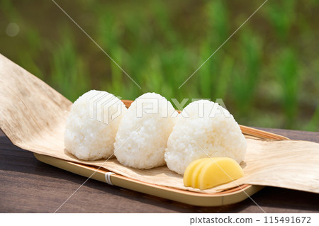稻田背景放置的飯糰飯糰 115491672