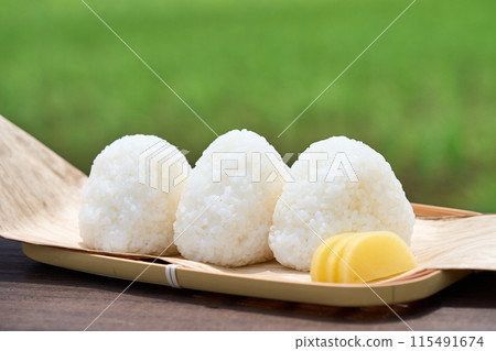 Rice balls with rice paddies in the background Rice balls with rice paddies in the background 115491674