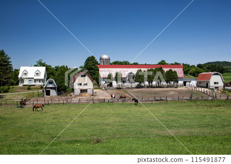Hokkaido ranch scenery 115491877
