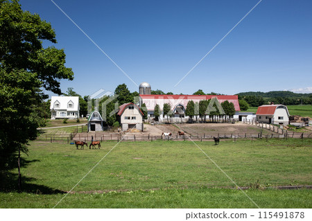 Hokkaido ranch scenery 115491878