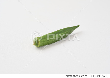 黃秋葵 黃秋葵 115491879