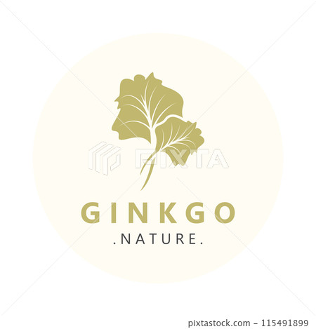 Ginkgo biloba leaf logo. can be used for herbal health products modern style logo design template Ginkgo biloba leaf logo. can be used for herbal health products modern style logo design template 115491899