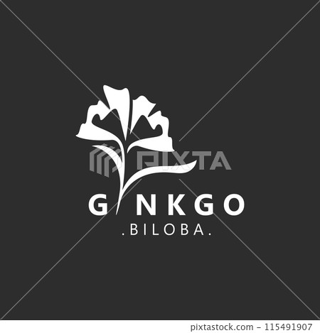 Ginkgo biloba leaf logo. can be used for herbal health products modern style logo design template Ginkgo biloba leaf logo. can be used for herbal health products modern style logo design template 115491907