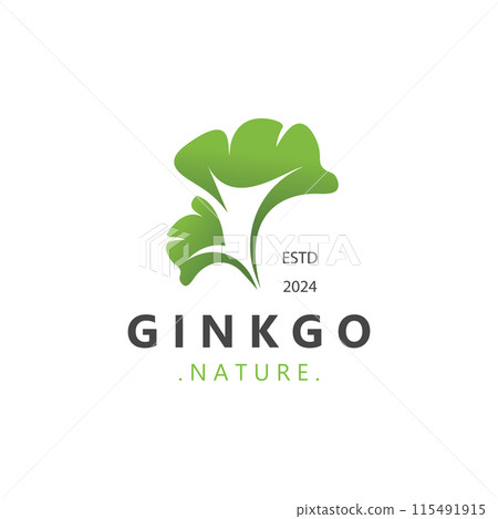 Ginkgo biloba leaf logo. can be used for herbal health products modern style logo design template 115491915