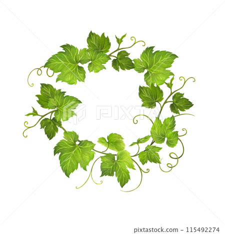 Watercolor wreath of grape leaves and tendrils for wedding invitation or greeting card design, vineyard celebration decor, menus, labels for wine and wine vinegar. Isolated hand drawn illustration 115492274