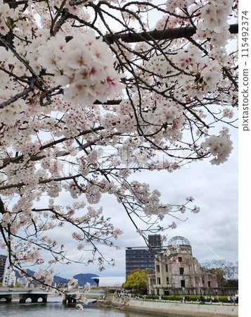 Sakura and A-Bomb Dome 115492374