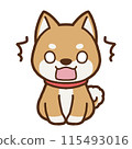 沒有背景的驚訝柴犬的插圖 115493016