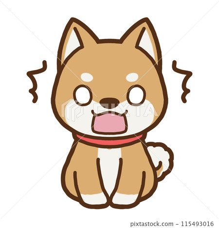 Surprised Shiba Inu illustration without background 115493016