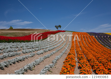 可以看到心樹的山丘 115493063