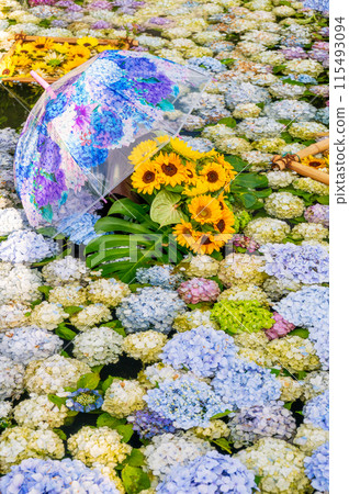 Hydrangea Pond, Hydrangea Art, Kaisei Hydrangea Festival 115493094