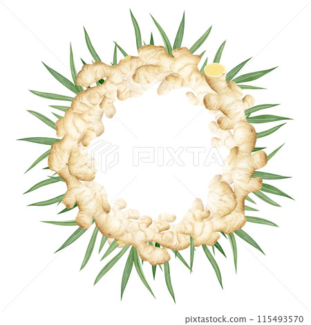 Ginger roots with green leaves round wreath watercolor illustration isolated on white background in pastel beige colors for label and logo. Horseradish spicy vegetable for organic herbal designs Ginger roots with green leaves round wreath watercolor illustration isolated on white background in pastel beige colors for label and logo. Horseradish spicy vegetable for organic herbal designs 115493570