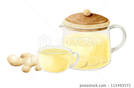 Healthy ginger herbal tea in glass teapot and cup watercolor illustration isolated on white background. Hand drawn organic antioxidant hot beverage for traditional medicine against winter cold and flu Healthy ginger herbal tea in glass teapot and cup watercolor illustration isolated on white background. Hand drawn organic antioxidant hot beverage for traditional medicine against winter cold and flu 115493571