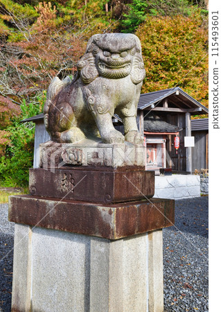 京都府、大原、大原、神社稻荷神社、神社稻荷大神的守護犬（京都市左京區大原來禦院町） 115493601